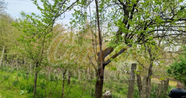 Teren pentru dezvoltare zona Tudor Neculai - potențial dezv