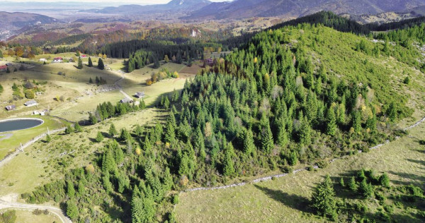 Teren 17590 mp &icirc;n Fundata, l&acirc;ngă Cheile Grădiștei, B...