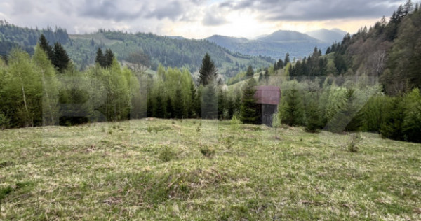 Teren extravilan &icirc;n zona Șandru, C&acirc;mpulung Moldovenesc, 2
