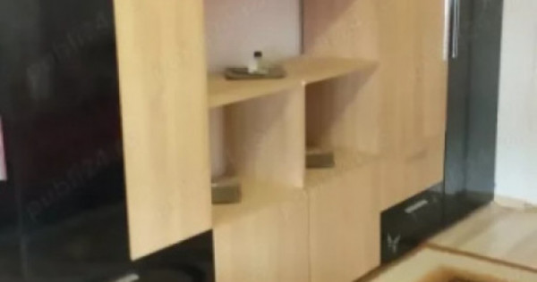 290euro!!Garsoniera, Podu Ros,o statie de Palas!!!