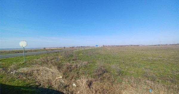Teren Judetul Calarasi- Cuza Voda Stradal DN3