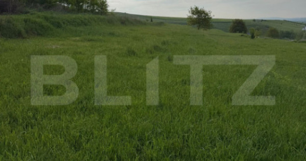 Teren Intravilan, 20 ari, Moara, Bulai