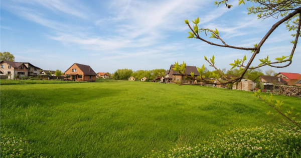 Teren 1.700 mp intravilan, natura, vecinatati bune, potentia