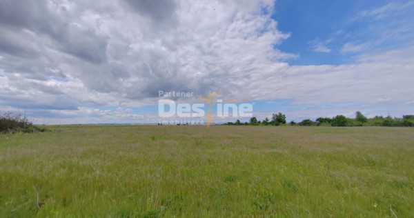 Teren extravilan, 114000 mp, Parc industrial West Park