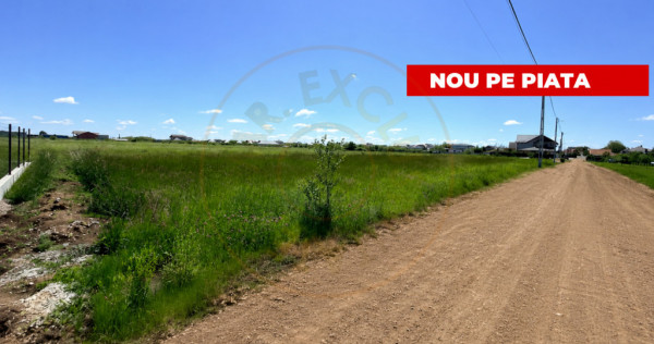 Teren de v&acirc;nzare &icirc;n Comuna Bradu -central&ndash; Strada Frați