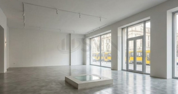 Spatiu comercial Piata Romana