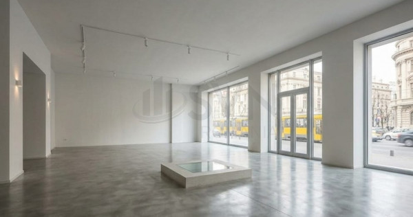 Spatiu comercial Piata Romana