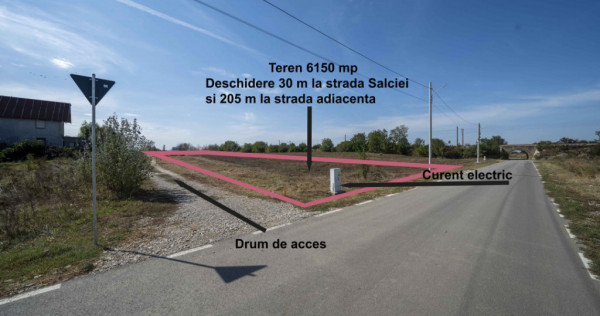 Teren 6000mp*Domnesti*Salciei-Haltei-Ciocarliei*Drum asfalta