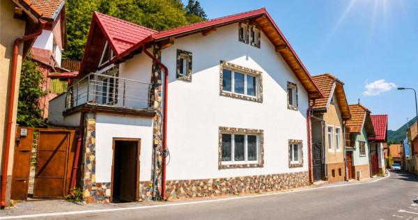 Casa individuala:rezidential servicii investitional,Centrul