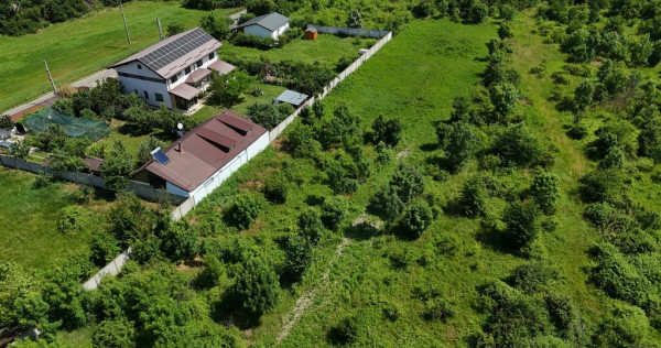 BALOTESTI &ndash; SAFTICA, LOT 460 MP!