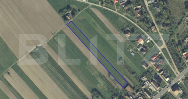 Teren intravilan de v&acirc;nzare, 3600 mp, zona Ardud