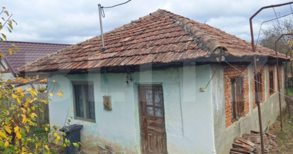 Casa batraneasca si 1320 mp teren, zona Barbatesti