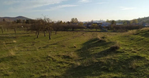 Proprietar Teren intravilan Campina 2490mp - Prahova (negociabil)