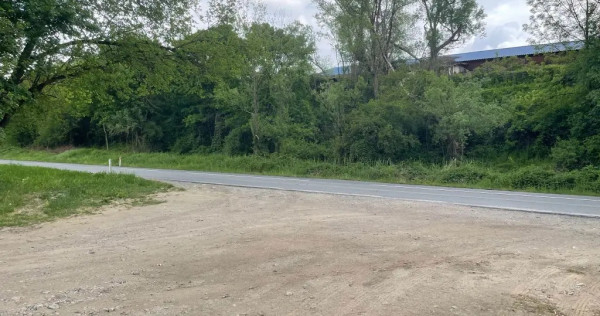 Teren intravilan 2.500 mp Reșița, DN58B