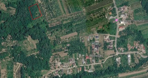 V&acirc;nd teren extravilan. 2394 mp
