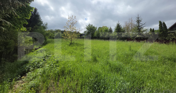 Teren intravilan de v&acirc;nzare, 2293 mp | Valea Jelnei