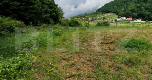 Teren extravilan de v&acirc;nzare, 1.100 mp - zona Dealul Jelnei