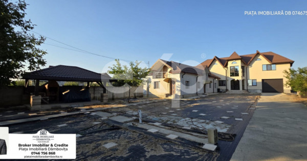 ???? Vilă Impunătoare cu 9.800 mp Teren &ndash; Bungetu, D&acirc;mb