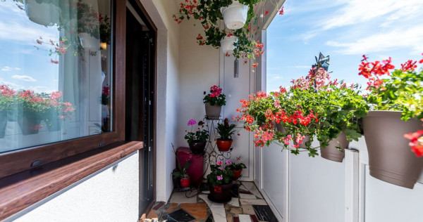 REDUS Apartament renovat cu 2 camere Micalaca etaj 3 Comi...