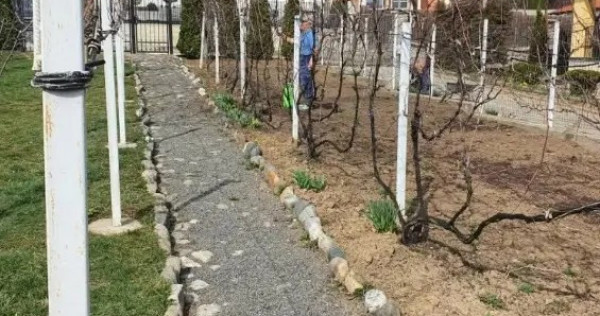 Teren intravilan casă 634mp