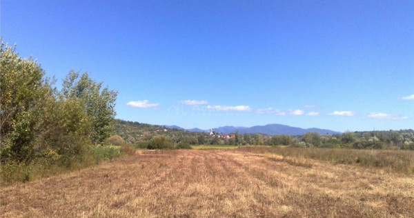 Teren intravilan 55 Ari | Sacalaseni strada principala