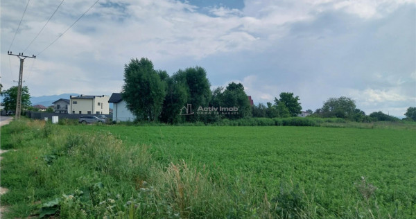 Teren Stupini Brasov - 2000 mp