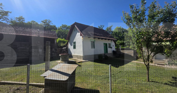 Casa traditionala din lemn in satul Zoltan