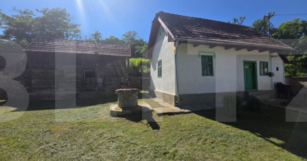 Casa traditionala din lemn in satul Zoltan