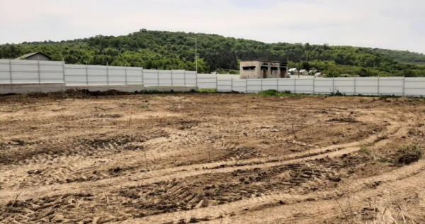 Persoana fizica vand teren in localitatea Vladiceni 1480mp