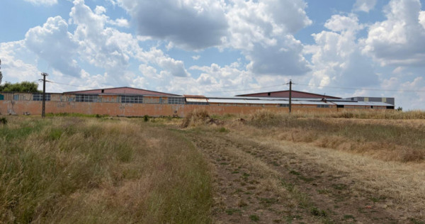 Teren 9.976 mp cu proiect aprobat parc fotovoltaic 1,4 MW, B