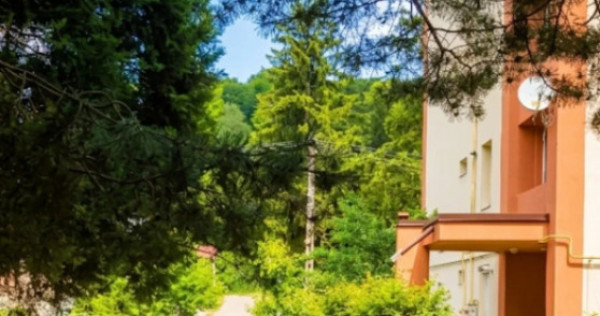 Oportunitate Investiție: Apart. 2 Camere &icirc;n Bușteni | Ide