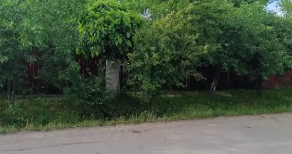 Vand casa locuibilă Izvoarele