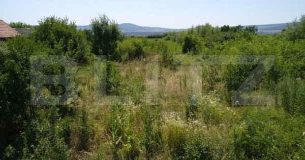 Teren intravilan de vanzare, 35 ari, DN 17, zona Podirei