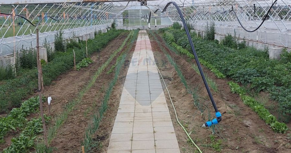 Teren 9,500 mp cu sere si utilitati langa DN 14