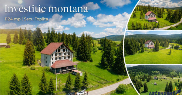 Complex montan 1.124 mp, Toplita Secu, investitie: turistica