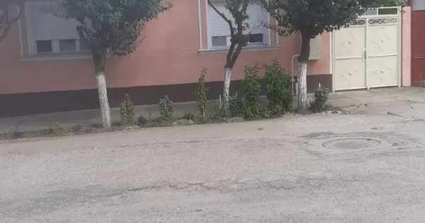 Casa de vanzare Micalaca Arad