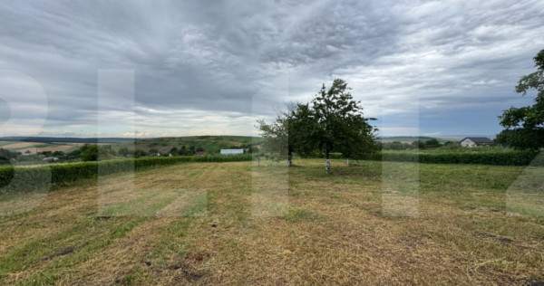 Loturi teren intravilan de v&acirc;nzare 1750 mp / 2036 mp Zaice?