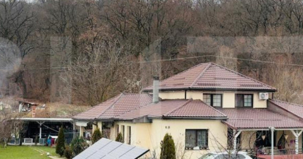 Casă individuală cu piscină, curte amenajată și afacere