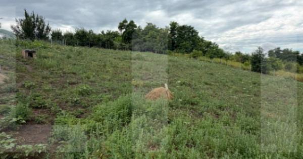 Teren intravilan, Dorohoi, 1532 mp, in apropiere de Gradina