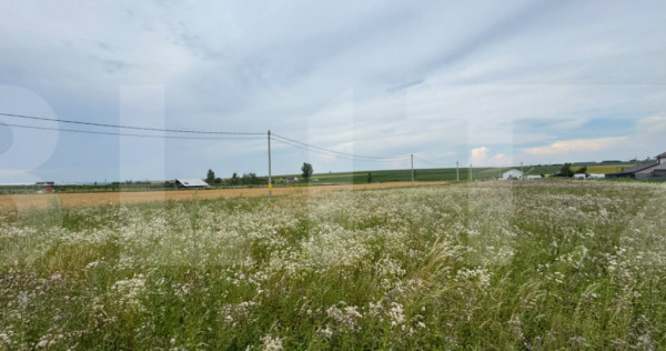 Loturi teren, 700 mp, Rachiti, Botosani