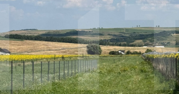 Teren intravilan, 500mp , Zona Zăicești- Botoșani