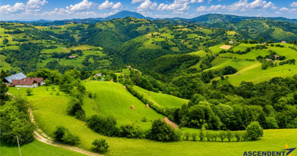FILM! Cu view panoramic la 360 grade, teren 10.335 mp, Poian