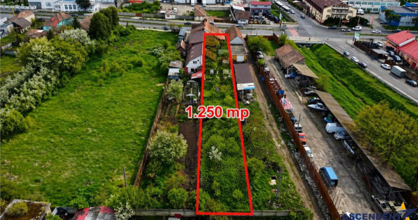 1.250 mp teren intravilan casa, Gheorge Doja, recomandat