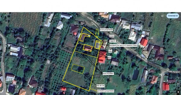 Vand casa cu gradina in Valea Arinilor