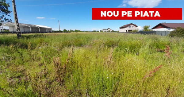 Teren intravilan Bradu 1312 mp 2 deschideri