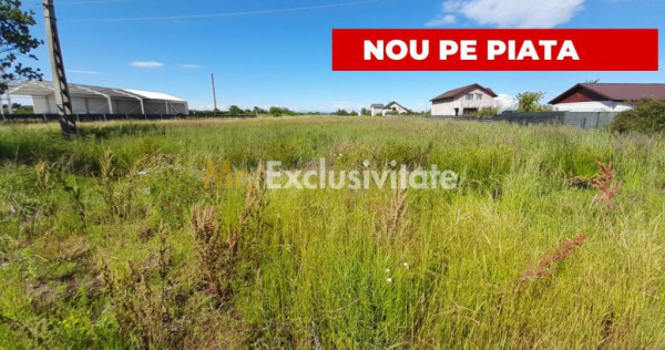 Teren intravilan Bradu 1312 mp 2 deschideri