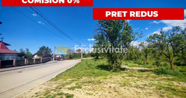 Teren central 2000 mp intravilan Mioveni