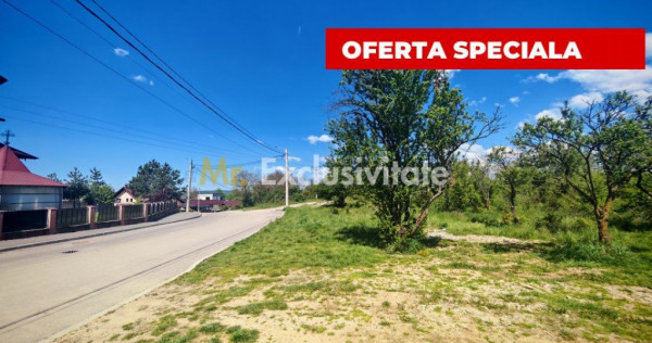 Teren intravilan 2.000 mp in Mioveni &ndash; Ideal pentru cas...