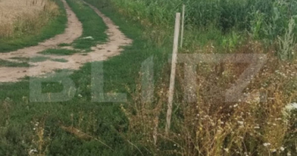 Teren de v&acirc;nzare, poziție excelentă, pentru investiție,