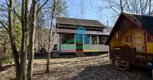 Casa de Vacanta Lepsa